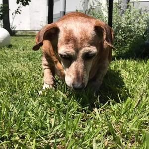 Meet your Posher, Mona